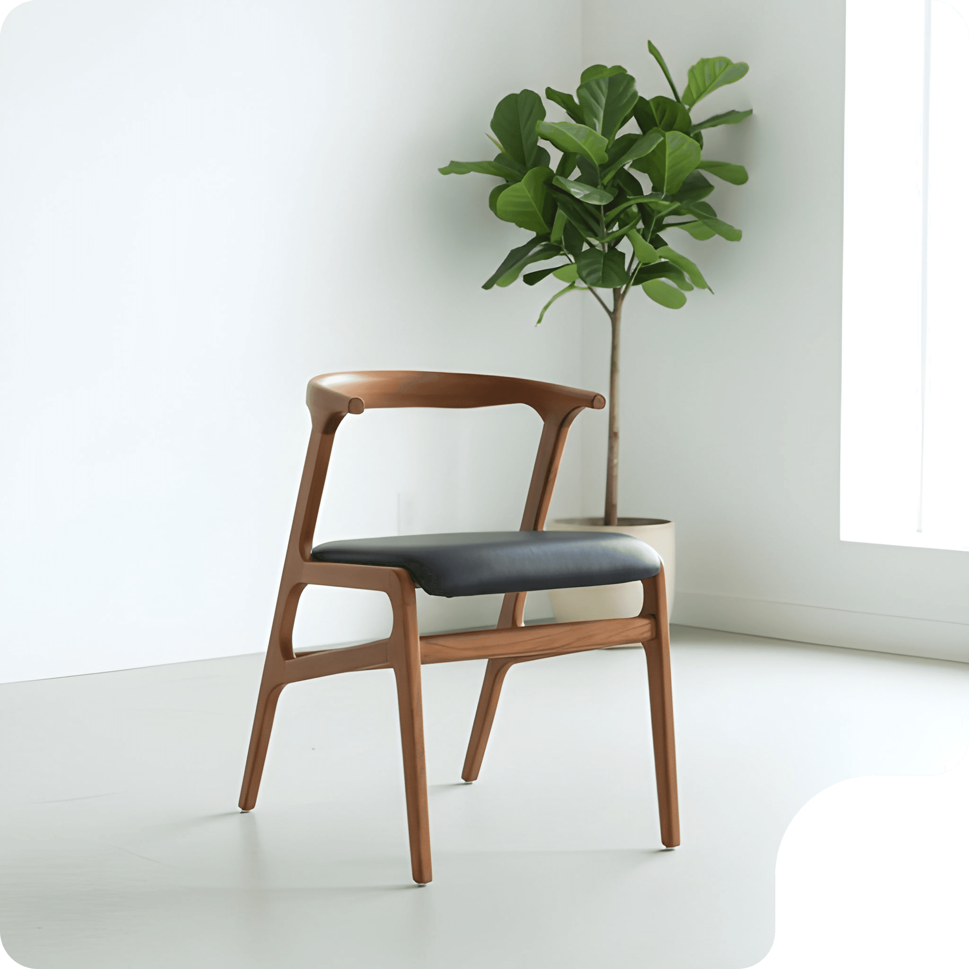 Dining Chair